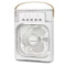 Stand Fan Air Cooler Heating Dissipation Portable Air Cooling with Ice Air Cooler